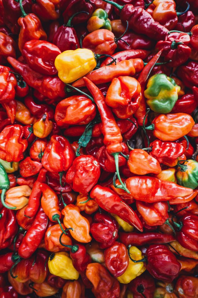 Chili Peppers / Habanero